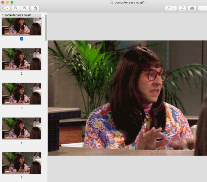 preview. displaying gifs